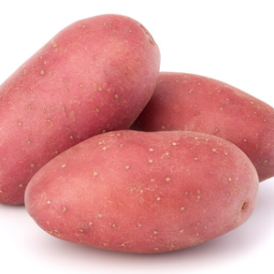 Clayette pomme de terre 60 plants Chérie