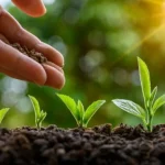 gettyimages-1141043458-617x410