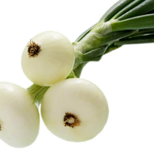 Oignon Blanc Snowball 500g