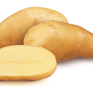 Clayette pomme de terre 60 plants Belle de Fontenay