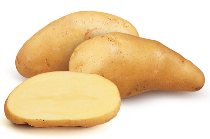 Clayette pomme de terre 60 plants Belle de Fontenay