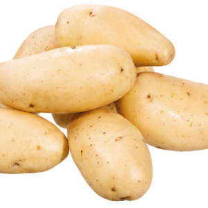 Clayette pomme de terre 60 plants Charlotte